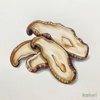 Dried Shiitake Mushroom Slices