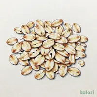 オートミール