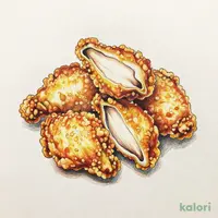 Frozen Fried Chicken, 300g