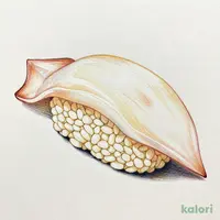 沖縄県産そでいか