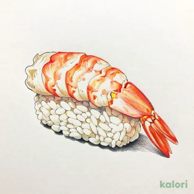 Shrimp
