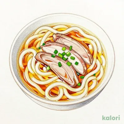 鴨うどん