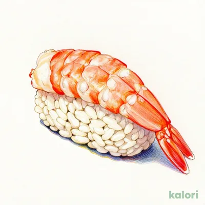 Large Shrimp