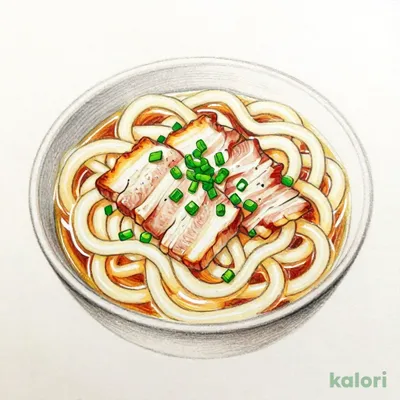 Salted Pork and Green Onion Udon (Medium)