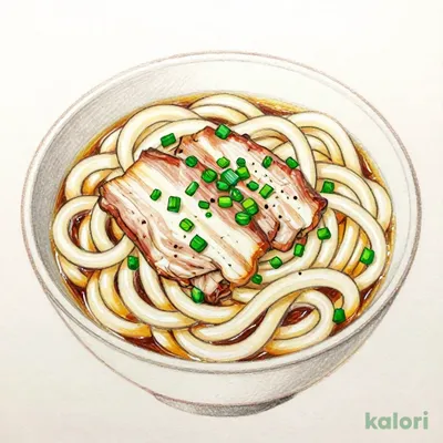 Salted Pork and Green Onion Udon (Large)