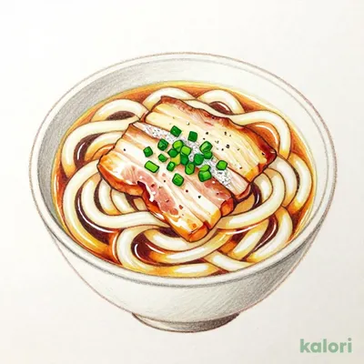 塩豚ねぎうどん (小)