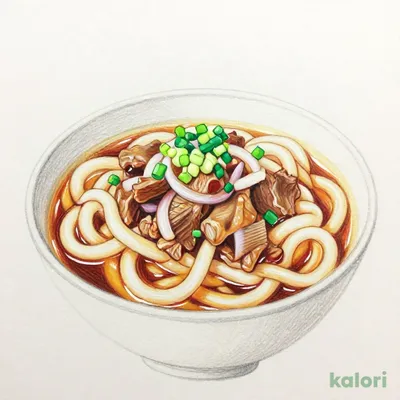 牛肉うどん (中)