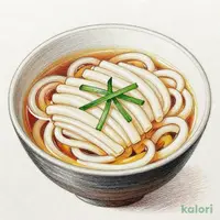 温うどん（並）