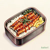 Grilled Eel Rice Box