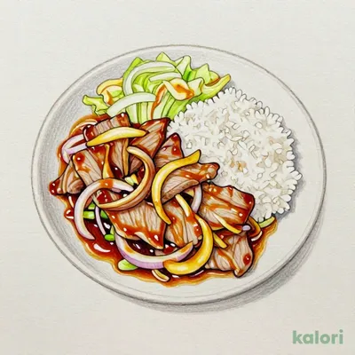 Ginger Pork Bento