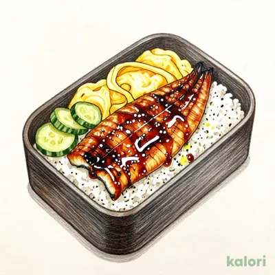 Grilled Eel Rice Box