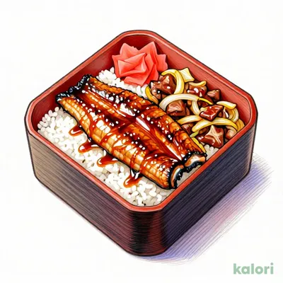 Grilled Eel and Beef Rice Box