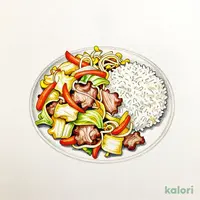 肉野菜炒め弁当
