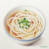 百菜うどん