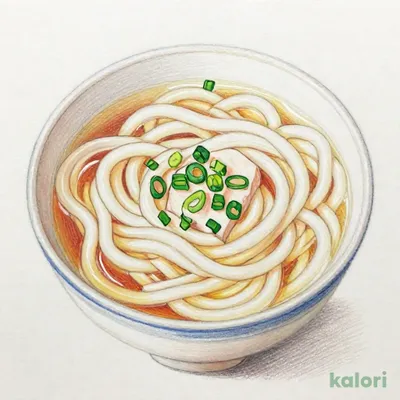 百菜うどん