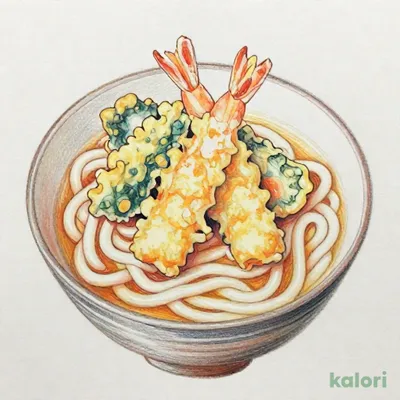 冷凍 たぬき庵 天ぷらうどん１人前