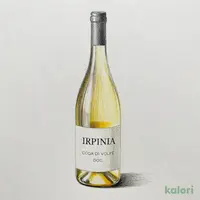 直輸入 イルピニア コーダ ディ ヴォルペ DOC（白）