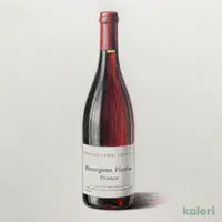 直輸入 カーブダゼ ブルゴーニュ ピノノワール (赤)