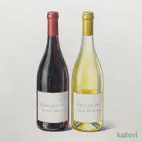 Ｓ フランス直輸入 ブルゴーニュ 赤・白セット