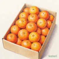 S 和歌山県産 みかん /