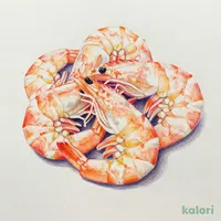 Sjörapport (Peeled Shrimp), Frozen