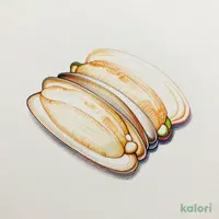 活ホッキ貝刺し