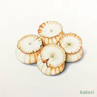 活帆立刺し
