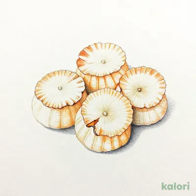活帆立刺し