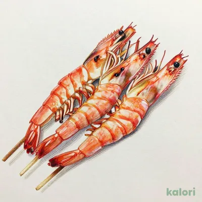 Grilled Red Shrimp Skewer