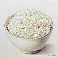 定食のごはん大盛り