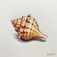 活サザエの壺焼