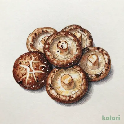 しいたけ(生どんこ)焼