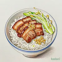 Chashu Pork Bento