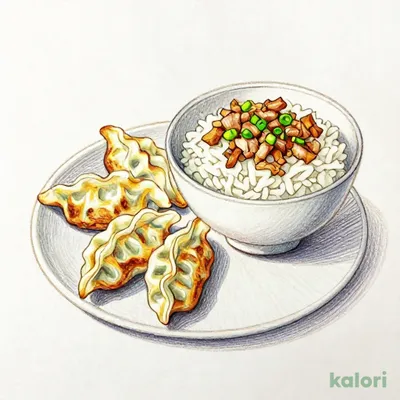 Butameshi (Pork Rice Bowl) Set