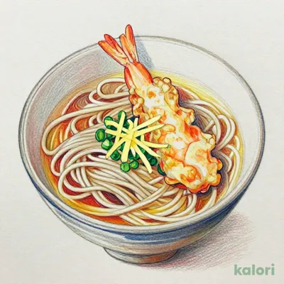 かき揚げ(海老)極そうめん (温・冷)