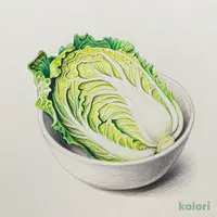 キャベツ