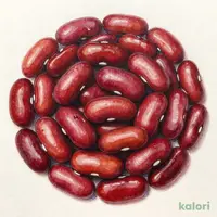 <訳あり品>ラ・プレッツィオーザ 赤インゲン豆 400g【オンラインストア限定】【賞味期限:2027/12/31】