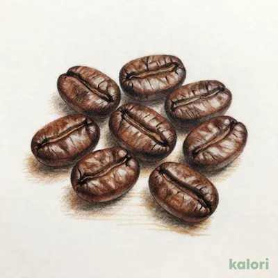 【焙煎珈琲】コーヒーの旅 ブラジル モンテ・アルト農園/200g
