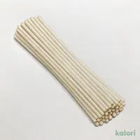 サンサス なつかしうどん 200g【賞味期限：2027/1/5】