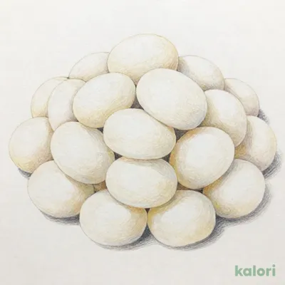 徳山物産 トック 500g【賞味期限：2027/6/14】