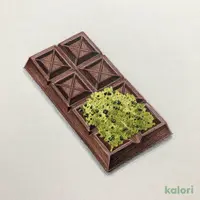 【冷蔵】オンラインストア限定 ショコラトリーキャメル ほうじ茶チョコレート 45g【賞味期限：2026/12/24】