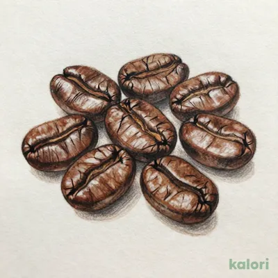 Costa Rica Smooth Morning Coffee Beans