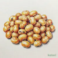 どらい納豆 うす塩味 40g