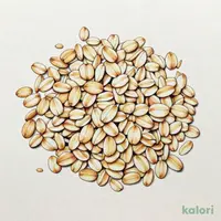 オドラムズ アイリッシュオートミール 454g