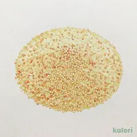 ギャバン クスクス（アルバディア） 500g