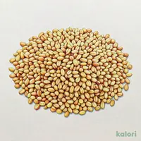 ドゥル 丸粒ブルグル 500g