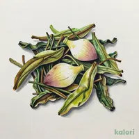 バオロック 蓮花茶（ハス茶） 70g