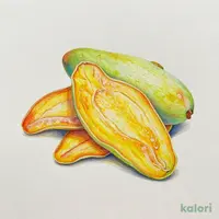 フィリピン セブ島 ドライグリーンマンゴー 70g