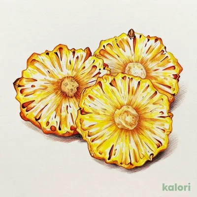 Dried Pineapple (Cebu, Philippines), 80g