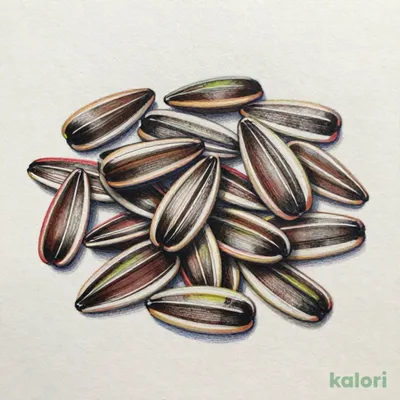 Haitai Sunflower Seed Chocolate, 40g